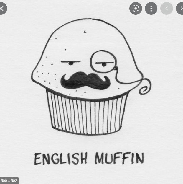 Mr_muffin