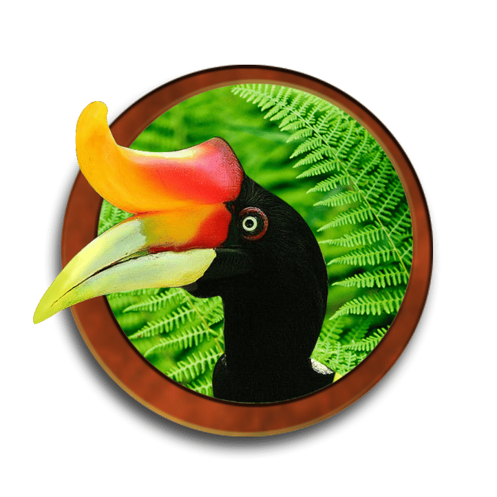 Crazy_Bird_Hypnotherapy