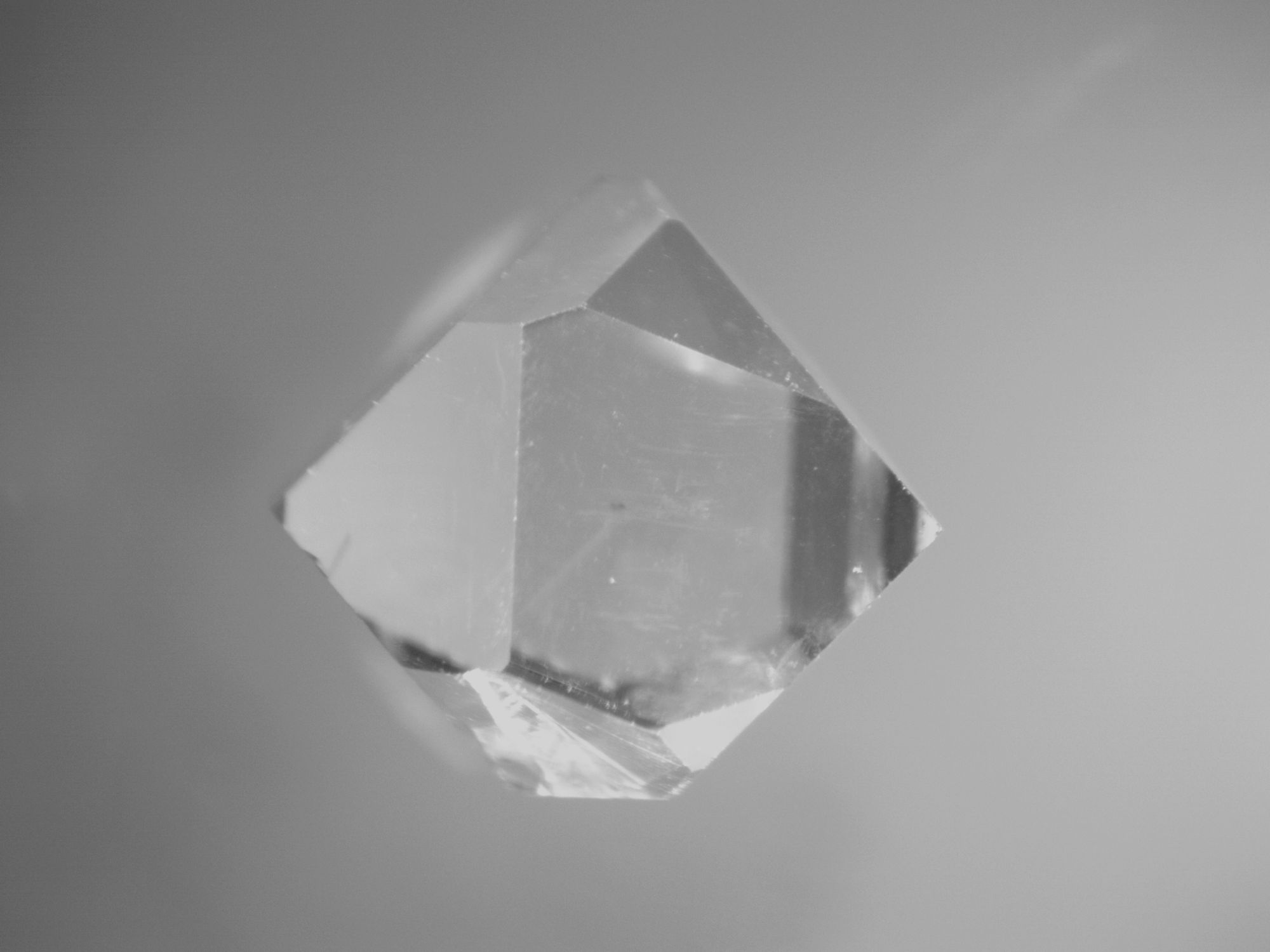 An antique German silver singing bird box