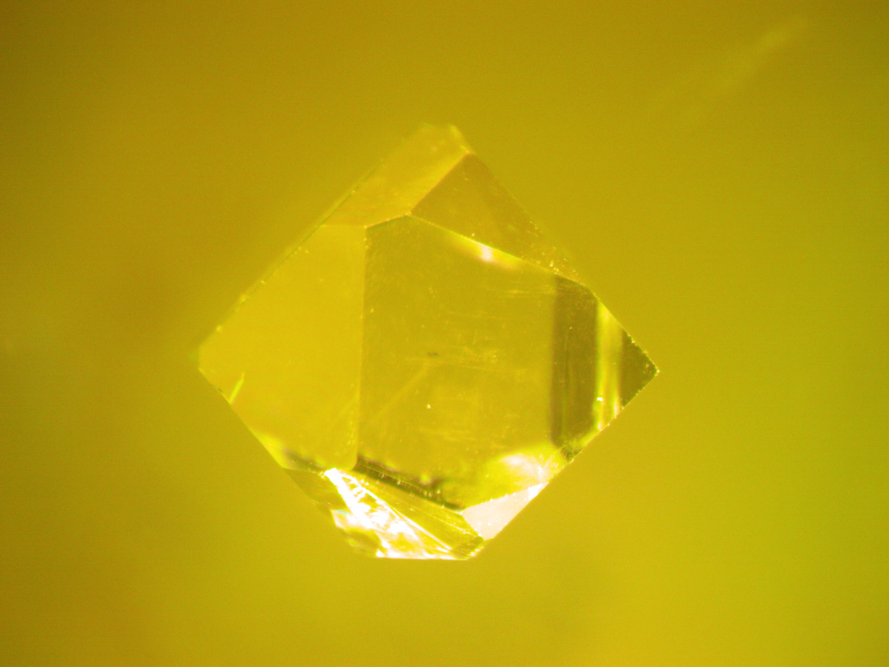 Tribute to the Rolling Stones song "She's Like A Rainbow" Have you seen her dressed in gold?