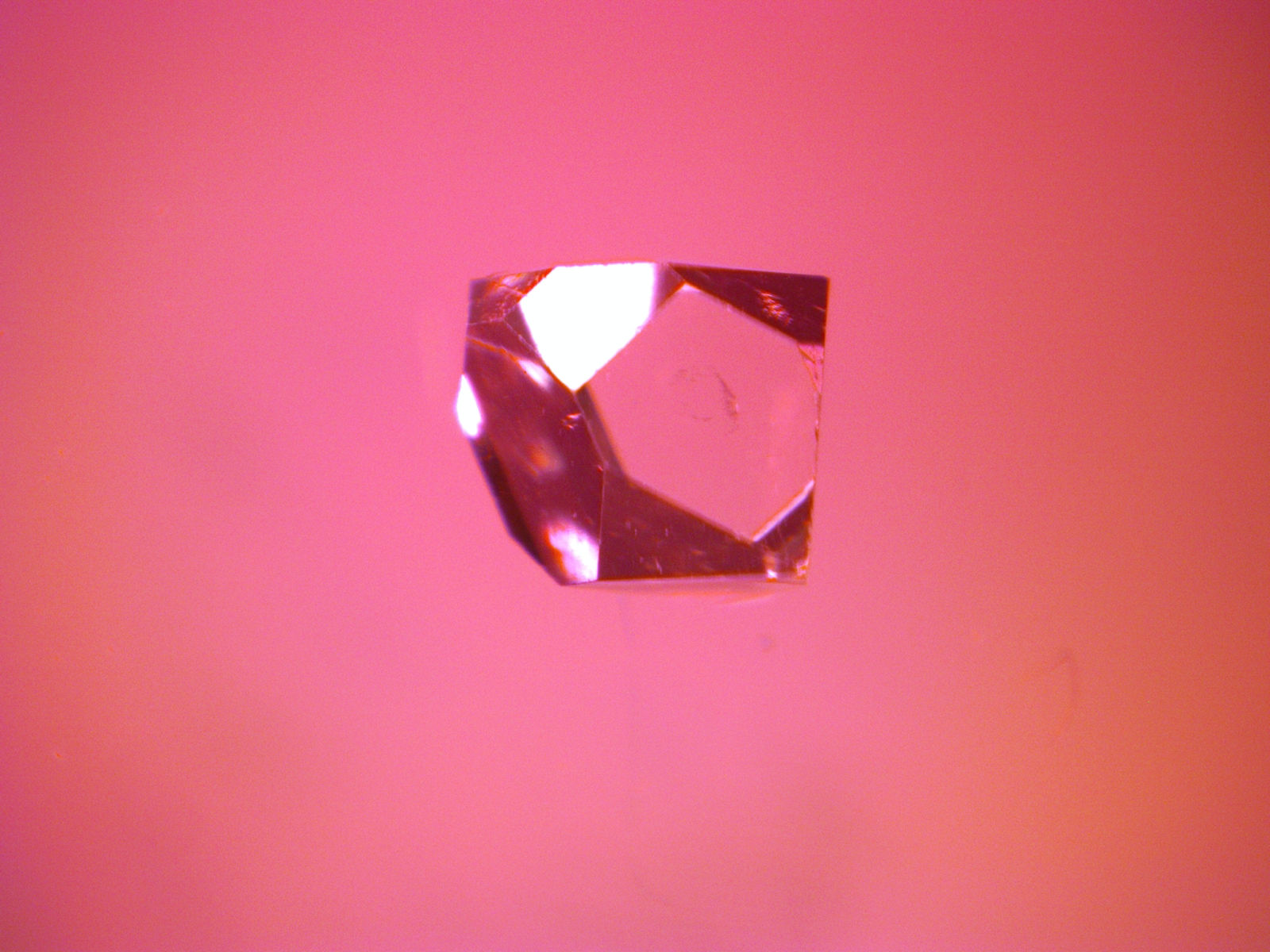 Cubist-inspired still life