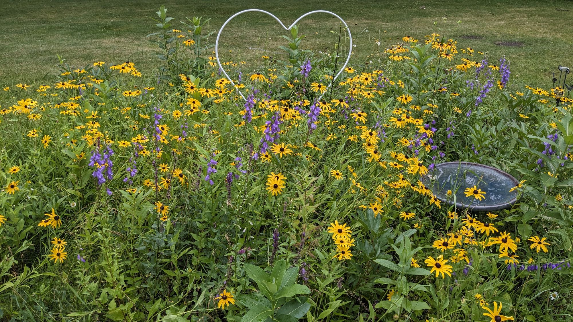 "The Photo" (1/2) 📸