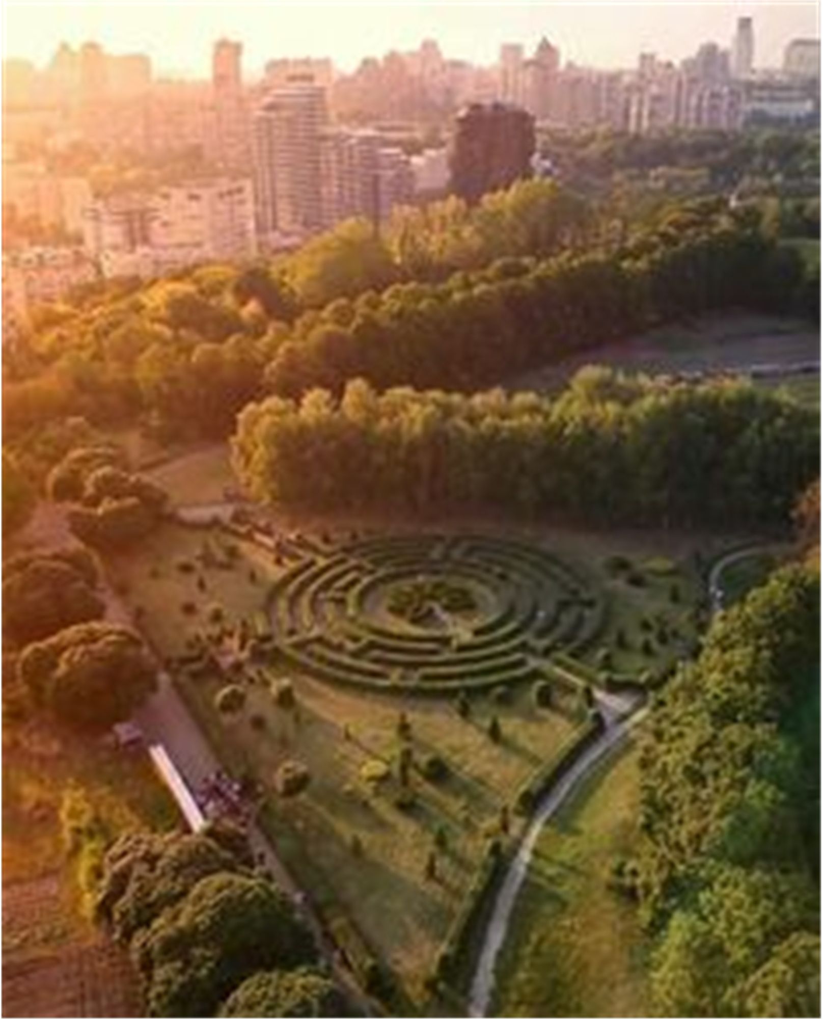 park, green labirinth, view from bird flight