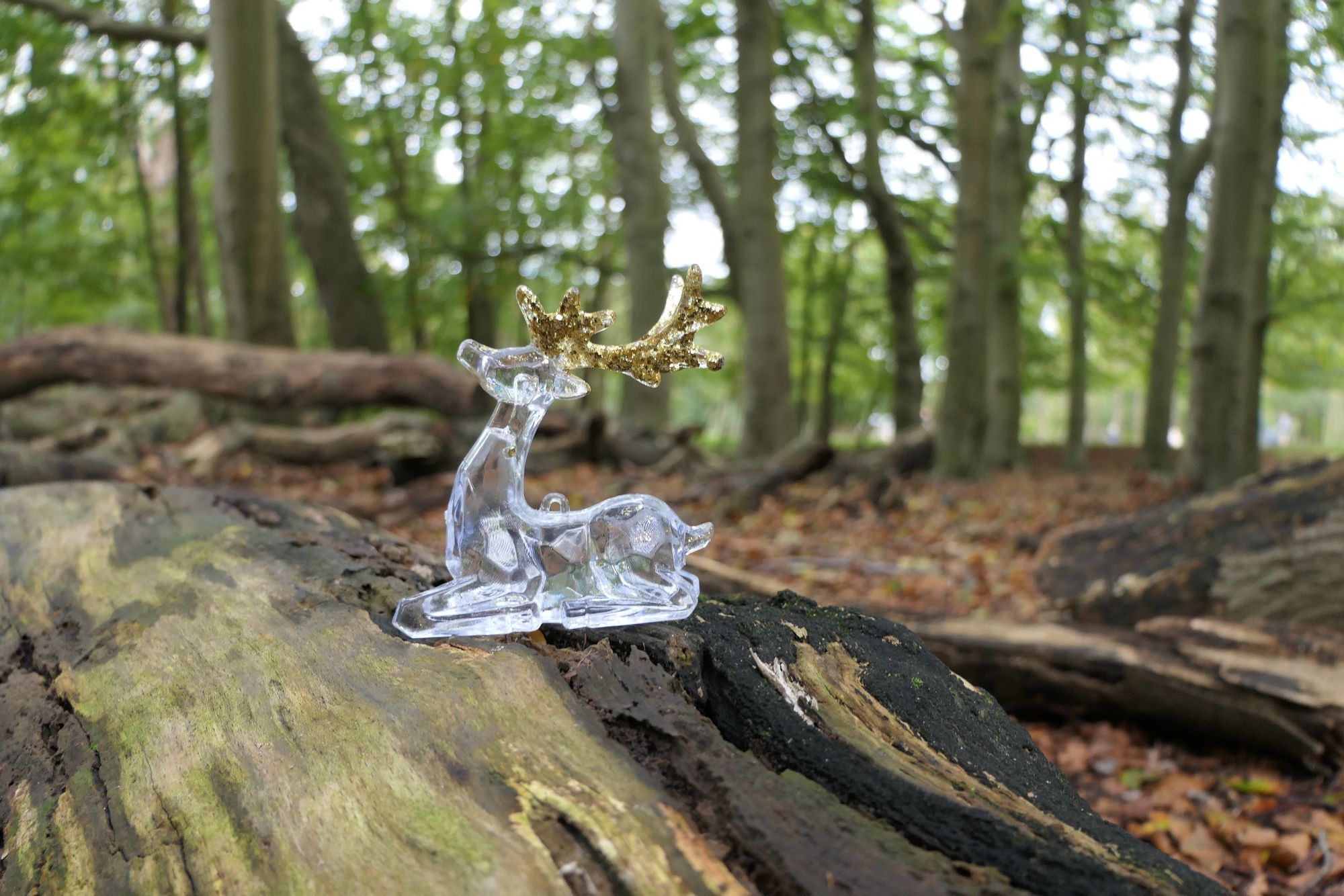 Deer invisible fantasy ,magic forest