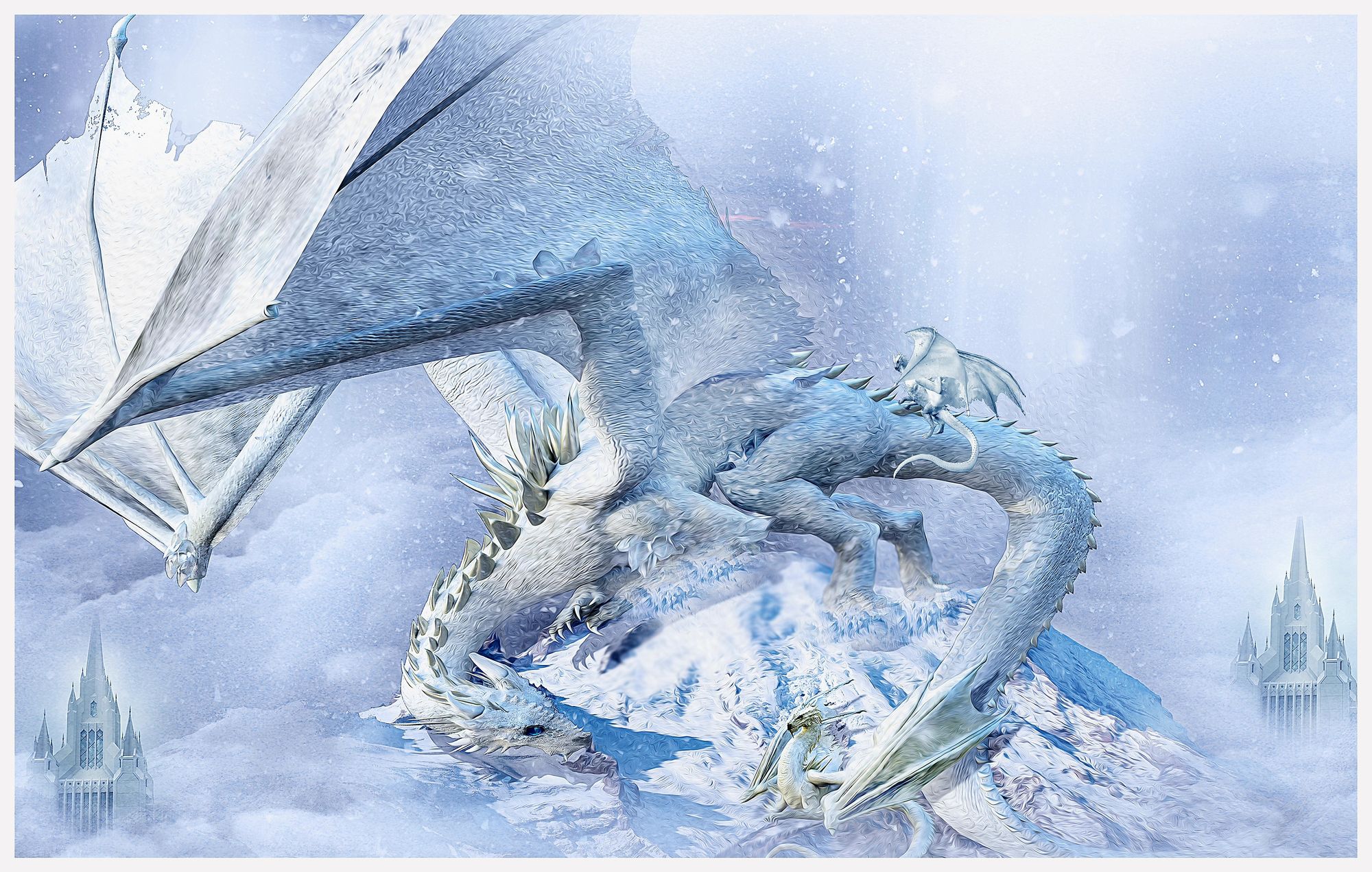 Snow dragon land baby dragon
