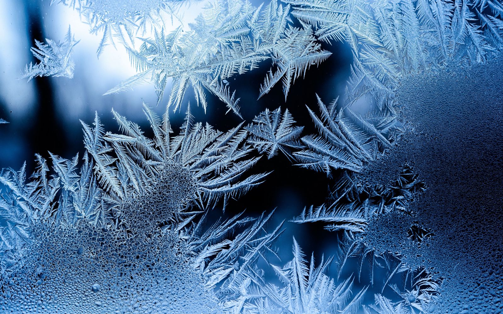Glace