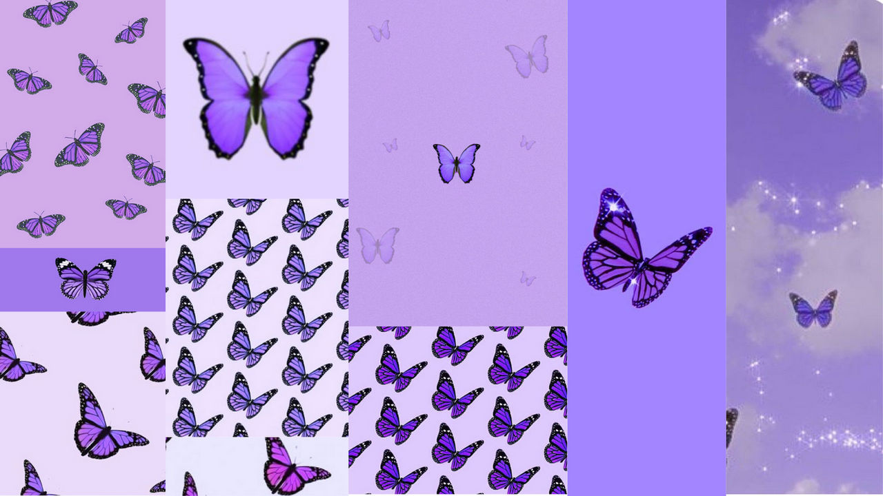 I_loves butterflies