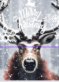 slytherin-potions-and-quidditch