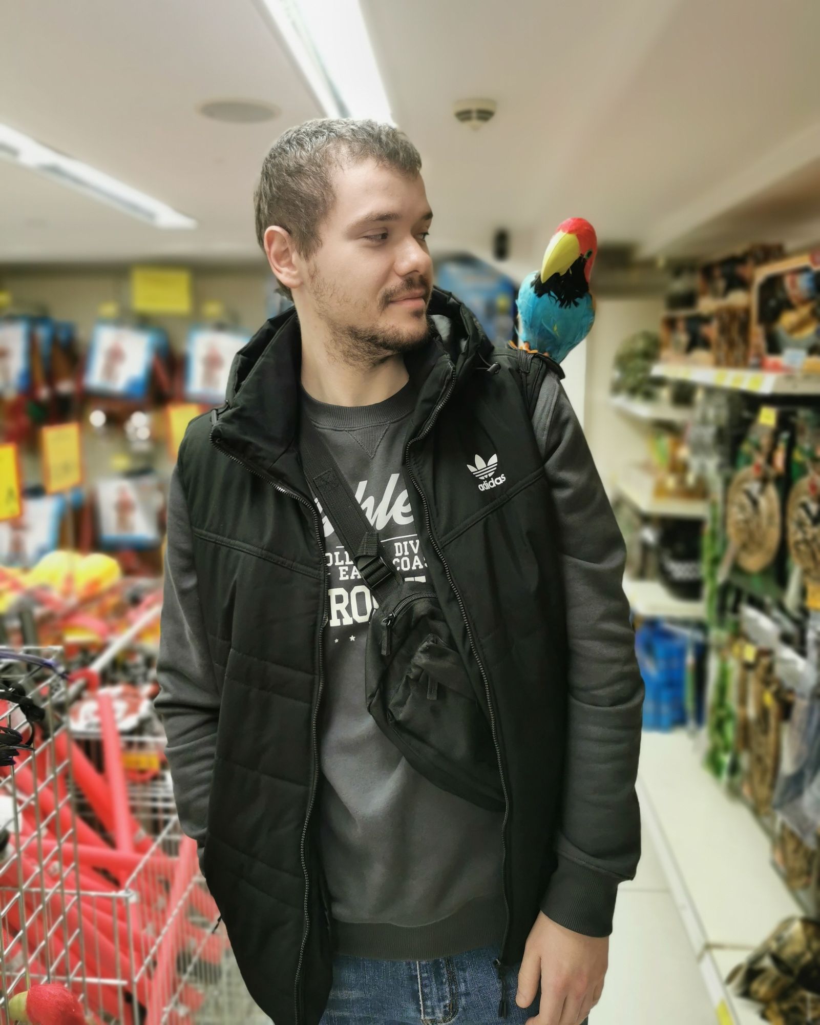 Storming the Fortress