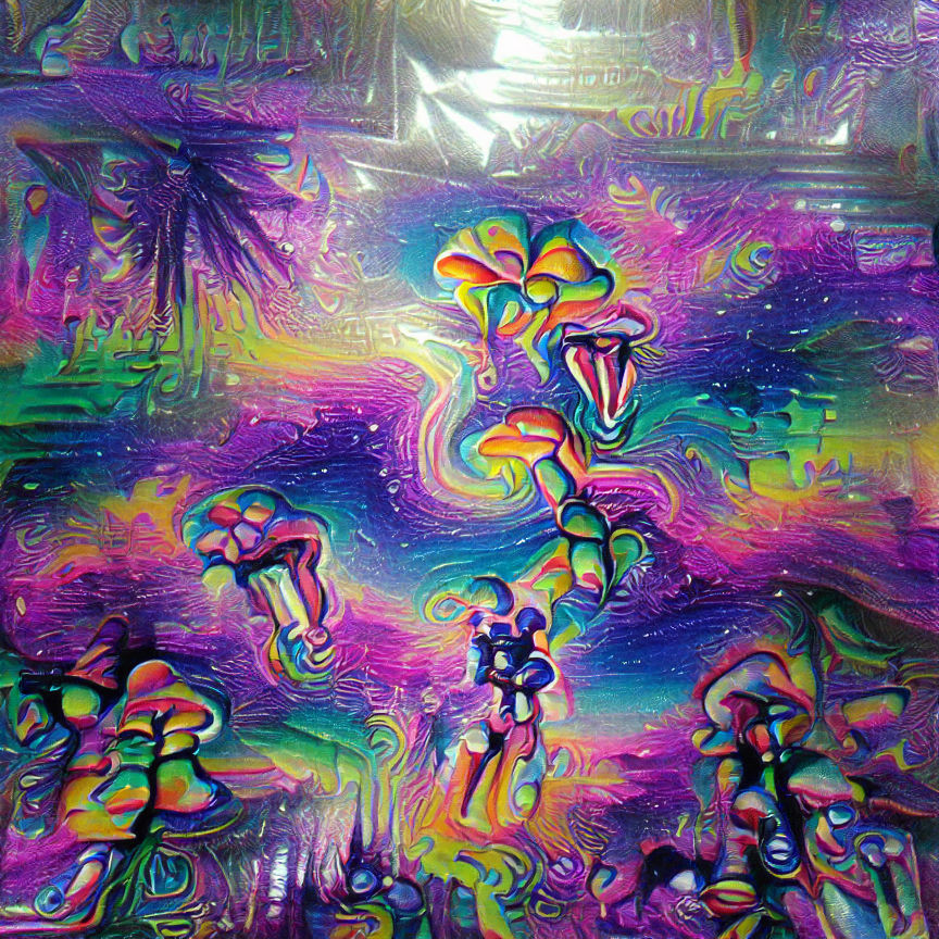 Christo Ras Bronkhorst