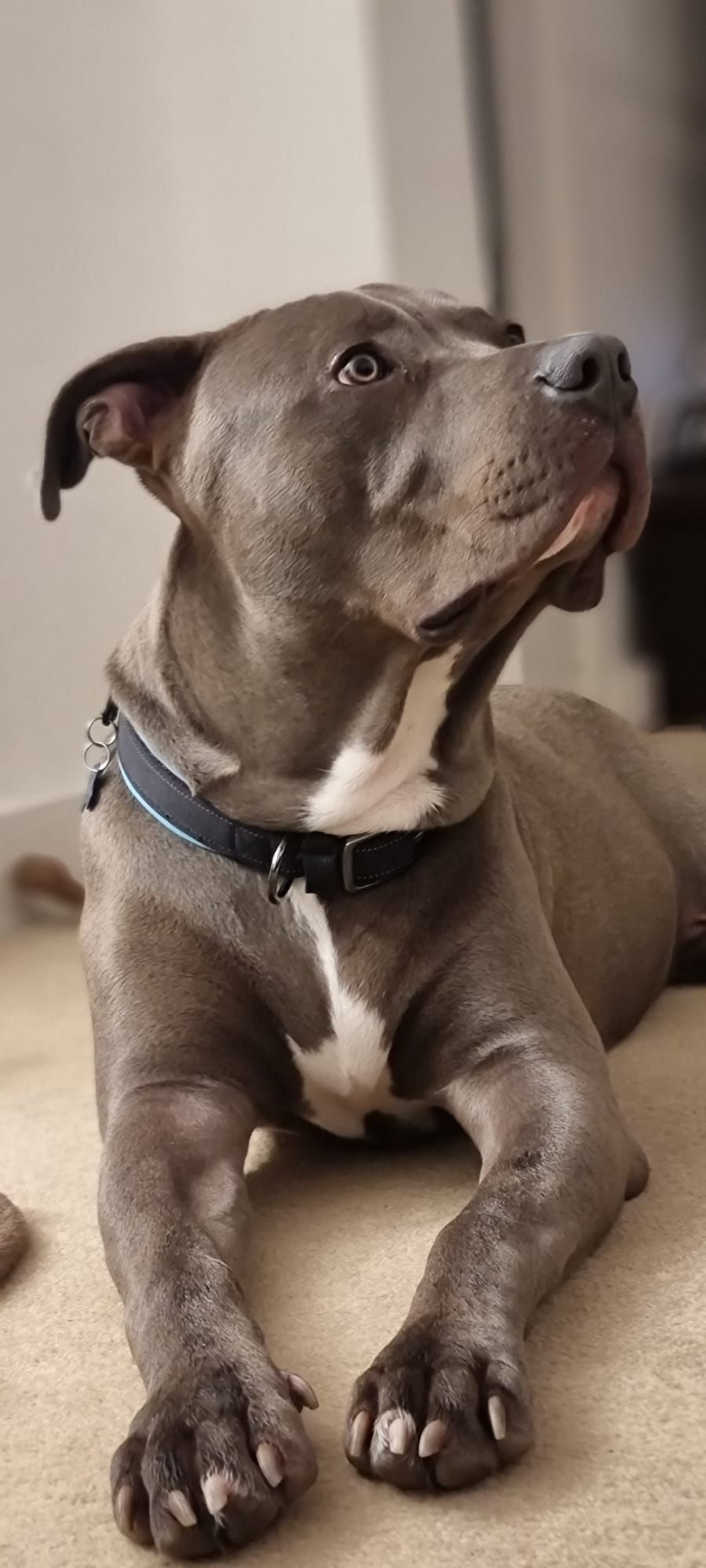 Image uploaded by user