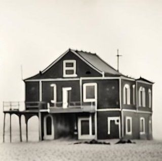 female goth fashion model. giant waves. giant dogs. fog. smoke. mist. sand. building debris. female goth fashion model. tintype black and wh...