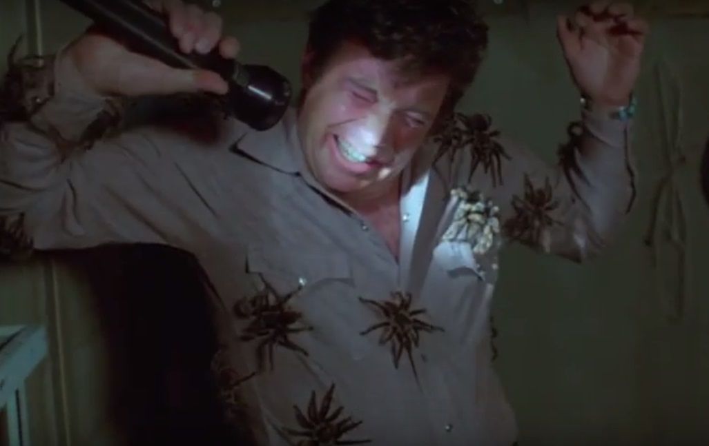 tarantula. william shatner. sherrif. desert. heat. giant spiders. poisonous spider. giant attacking spiders.