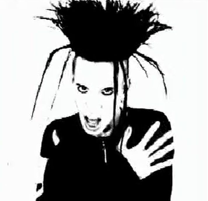 Rogue The Cruxshadows