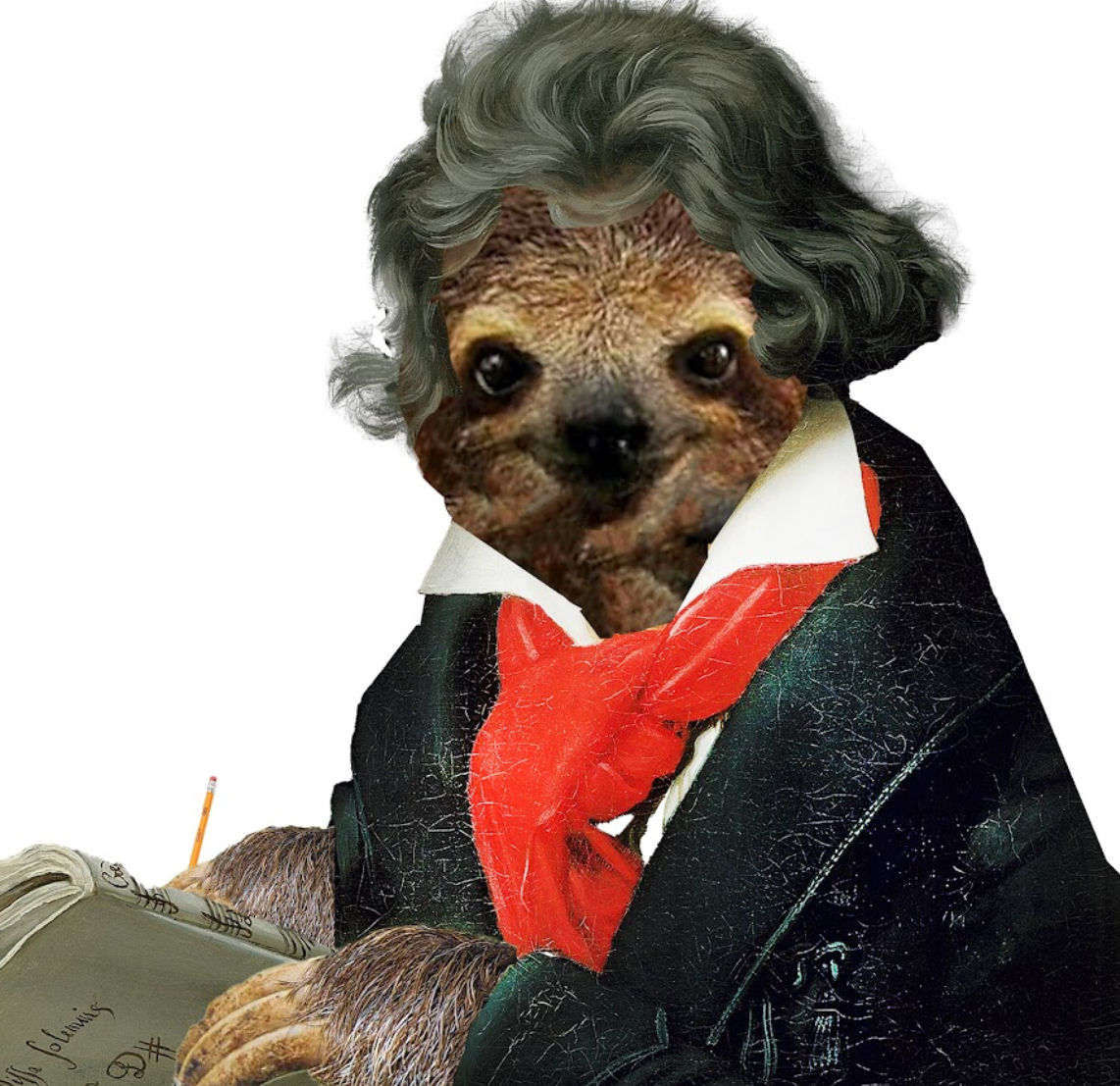 Sloth_Beethoven