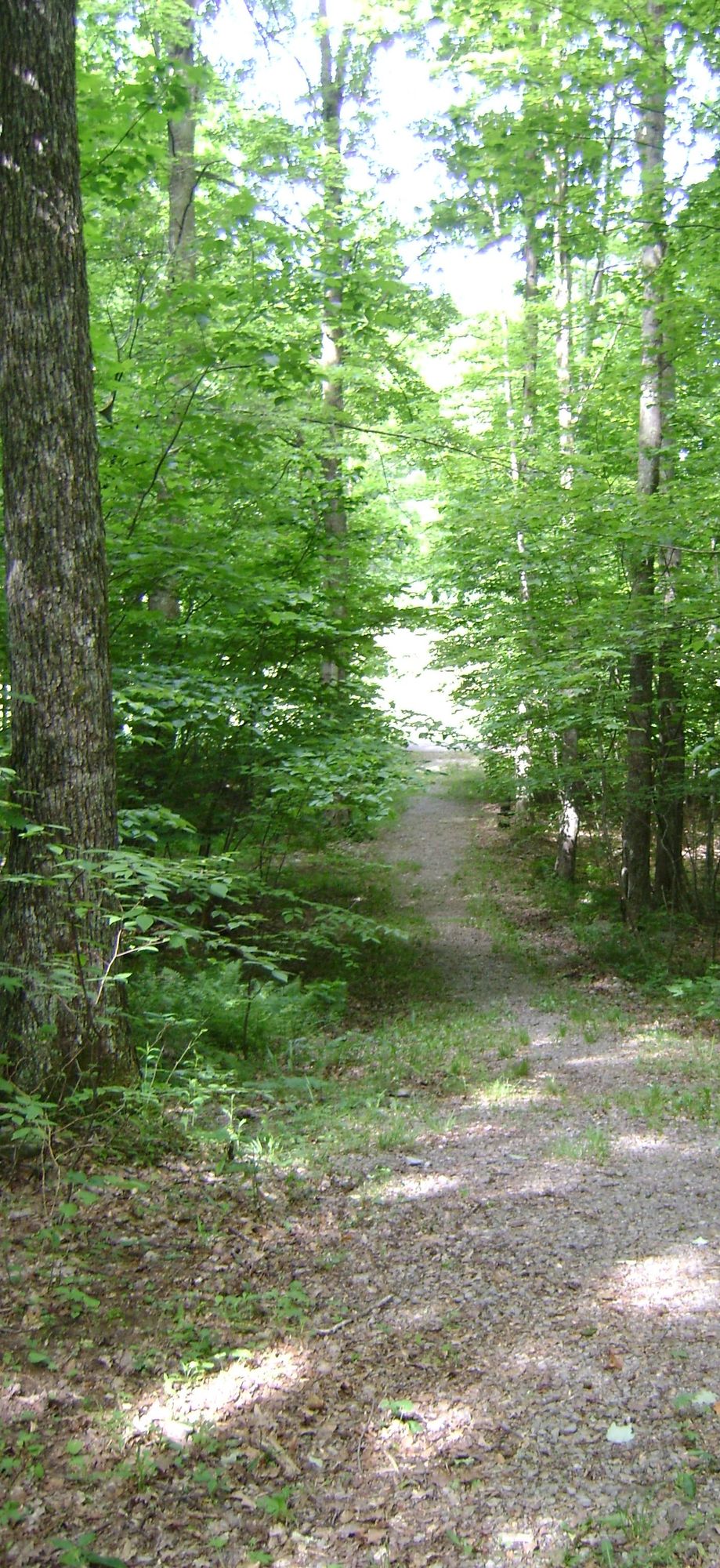 Image uploaded by user