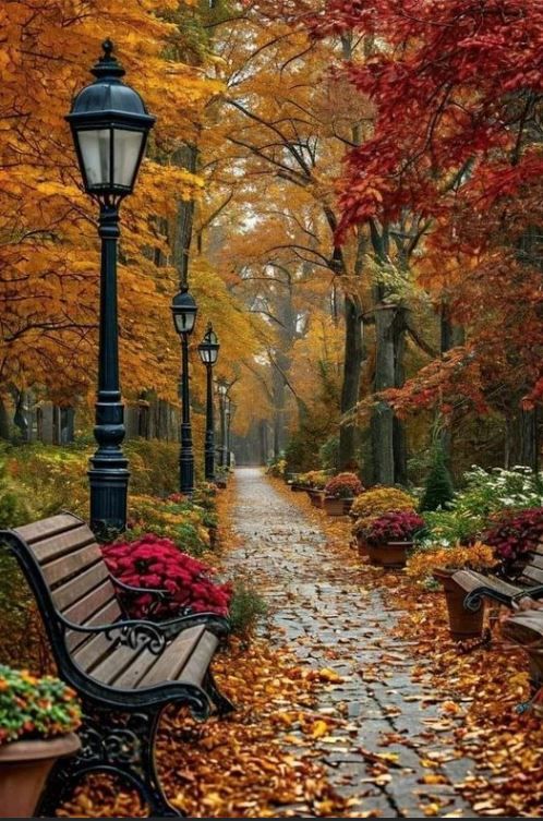 A magical autumn park