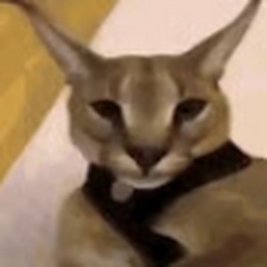 a_hecking_hecker