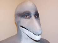 Dingus Bartholomew Dingerson