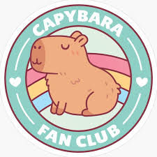 THE CAPIBARA GUY