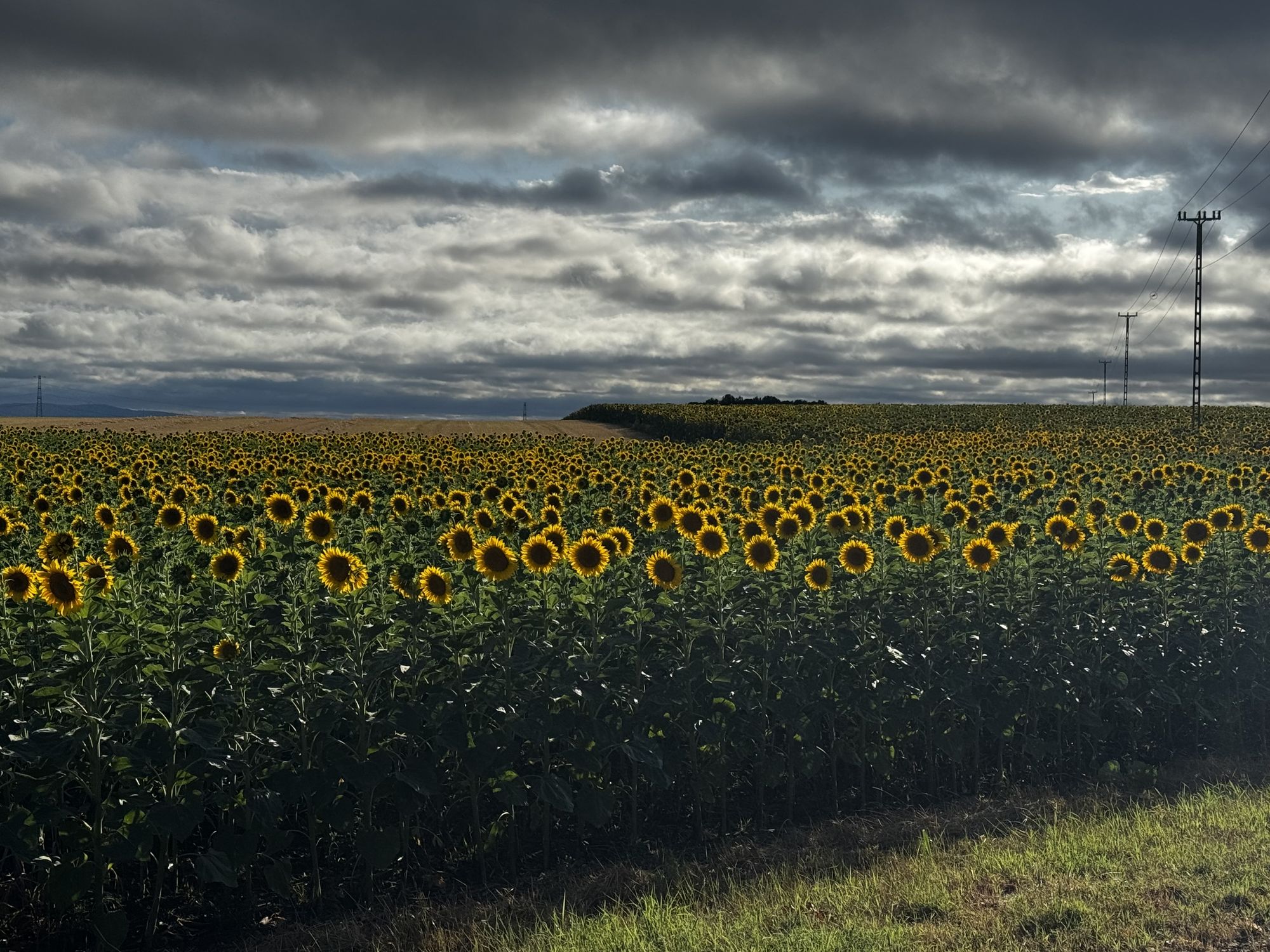 The sun is shining, while it is raining...there is a rainbow in the background Cinematic film still, shot on v-raptor XL, film grain, vignet...