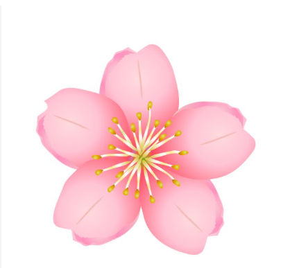 Blossom_22_13