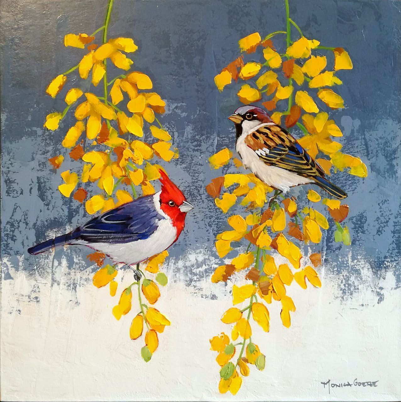 Close-up of two little birds: a "Paroaria coronata" & a "Zonotrichia capensis" perched on two hanging clusters of flowers of the "Cassia fis...