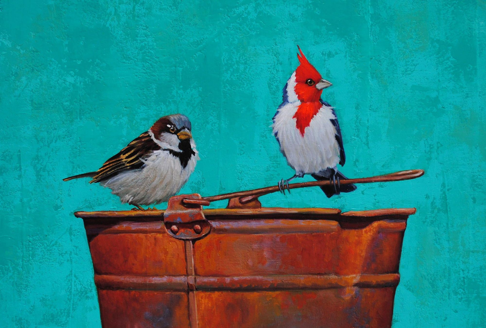 A "Paroaria coronata" and a "Zonotrichia capensis" by Monica Goetze🐦