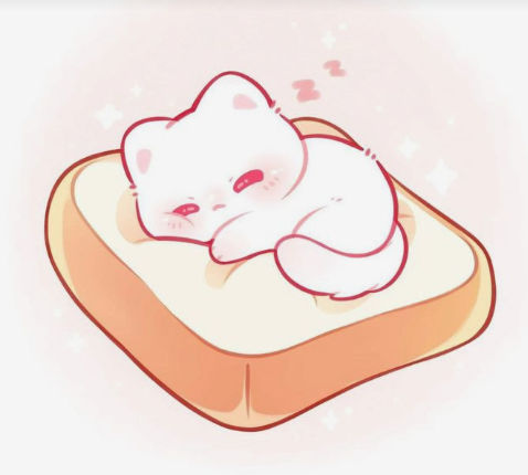 CatOnToast