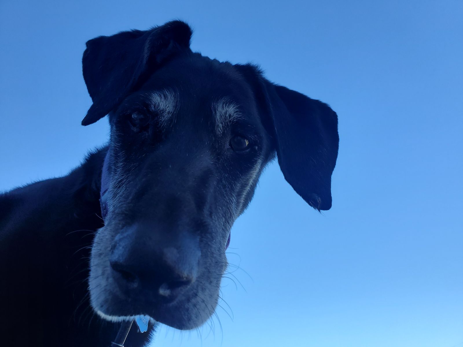 Original Baldwin Art