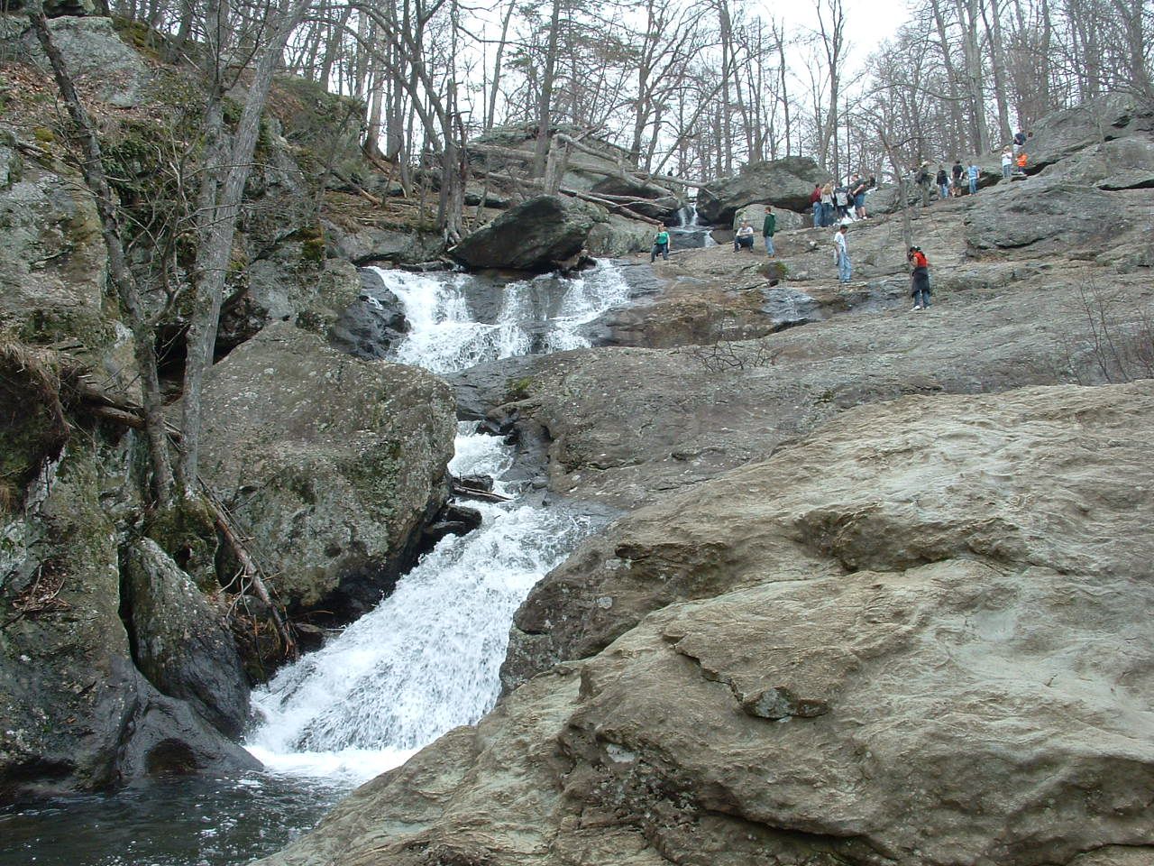 Lyric study 4 an upload and style of roger dean