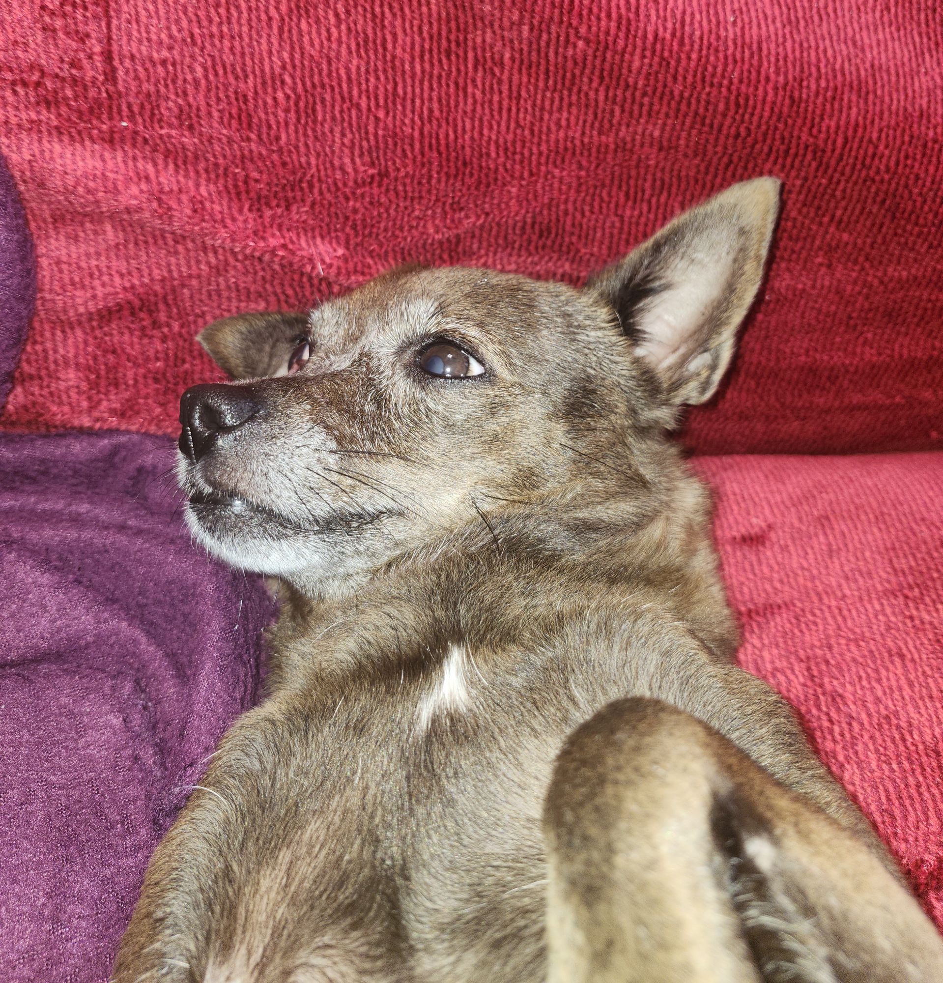 Image uploaded by user