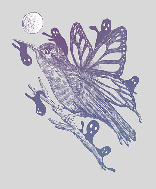 hummingbird butterfly 