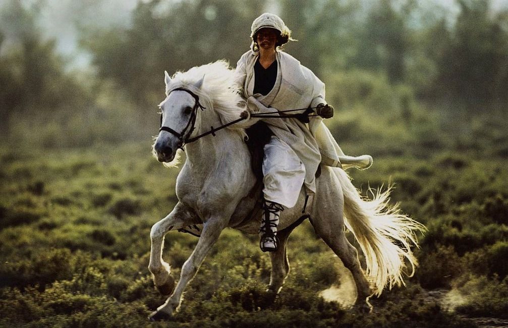 Polar bears play chess with elephants:
by Gustave Doré + color corrected + psychedelic art + oil on canvas
