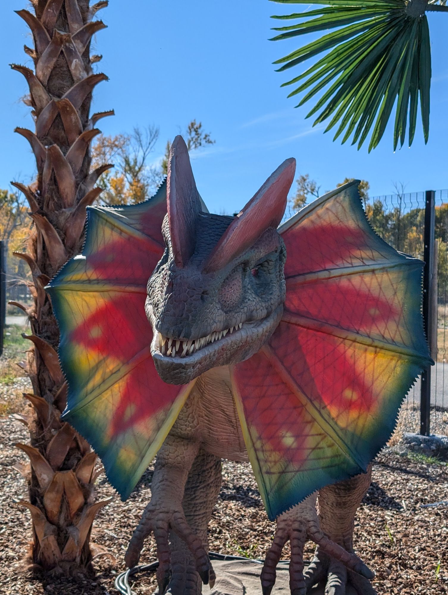 Feathered Dilophosaurus 