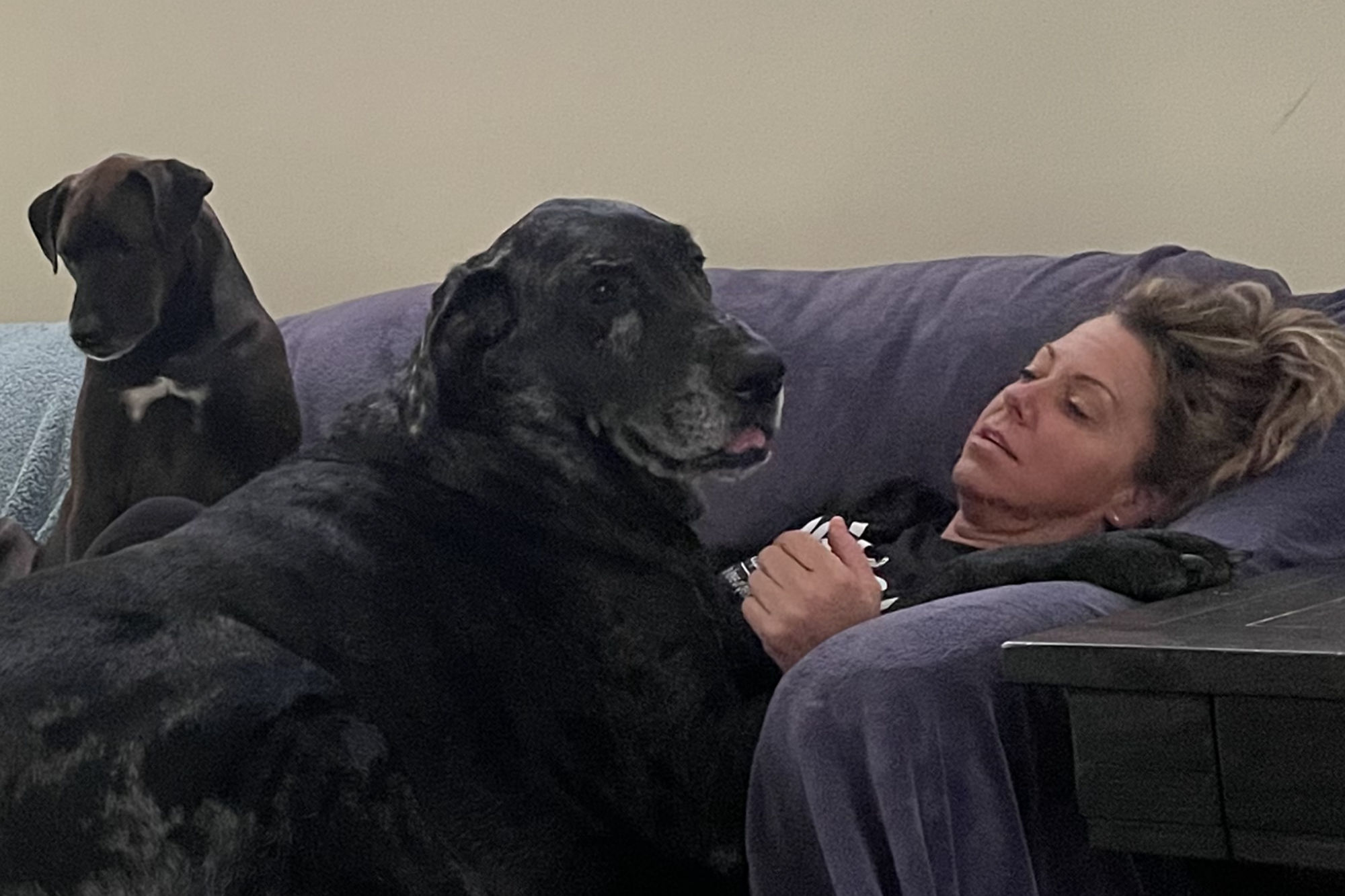 Image uploaded by user