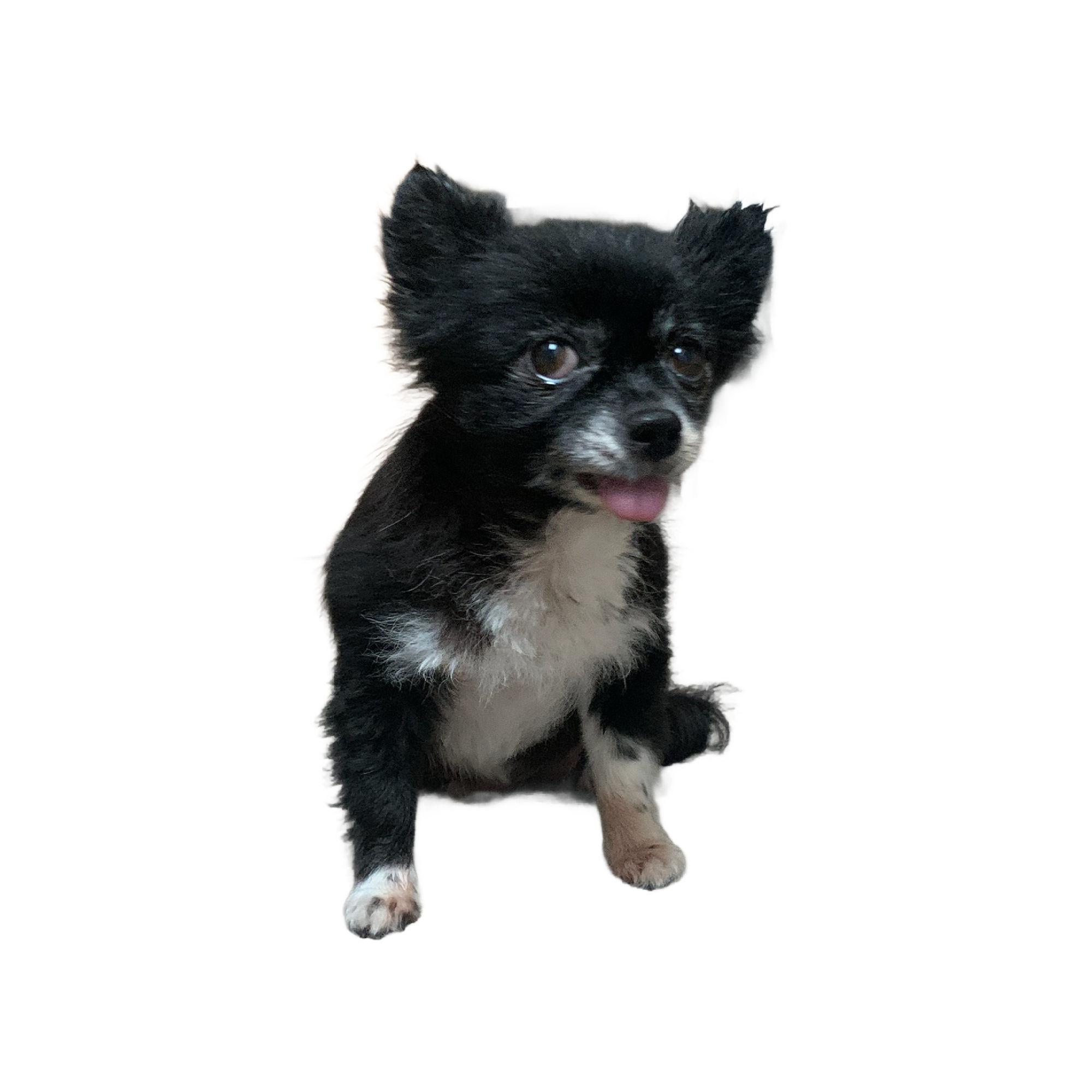 I want to take this image and give it a realistic art style comic painting look 