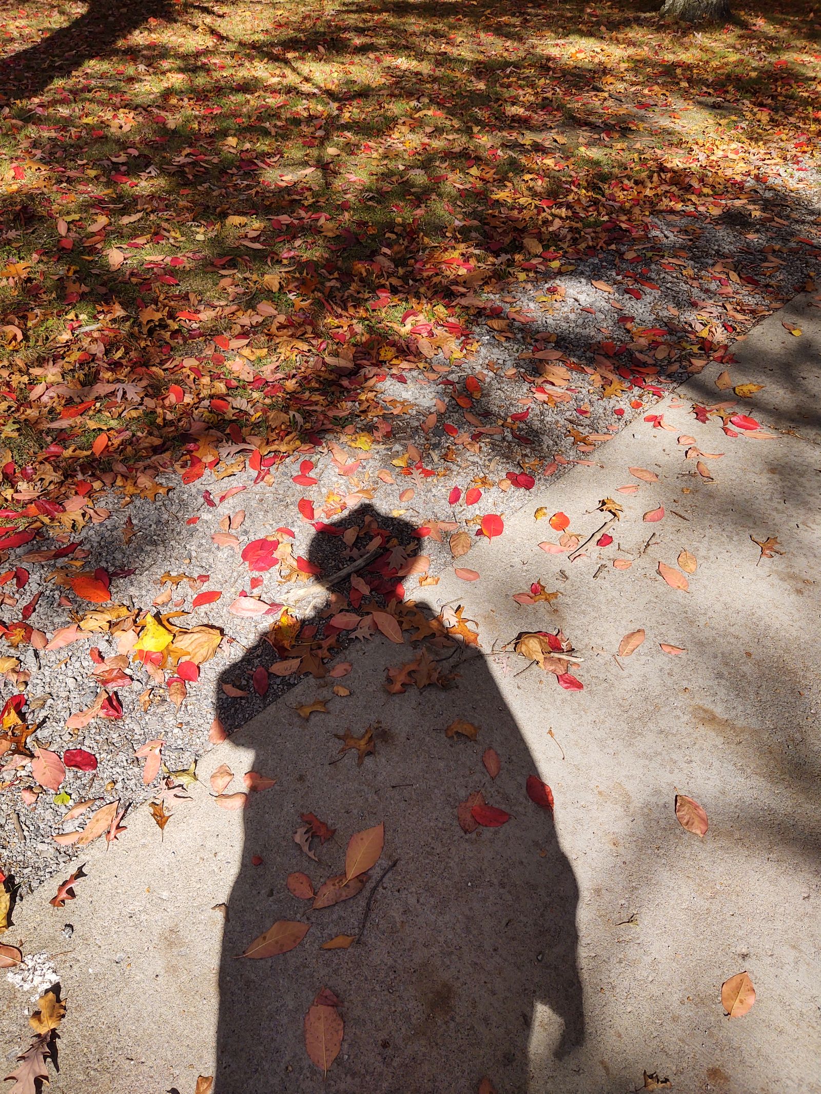 John from Youngstown