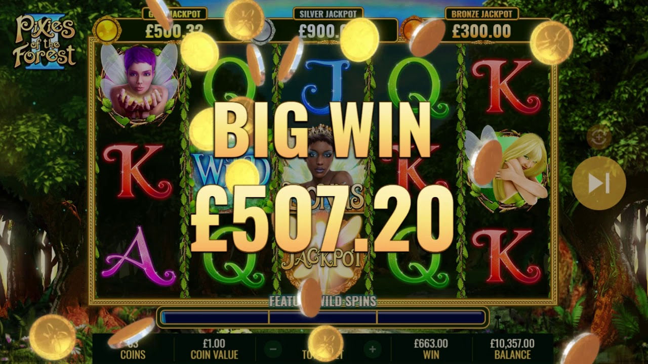 Professional Gambler