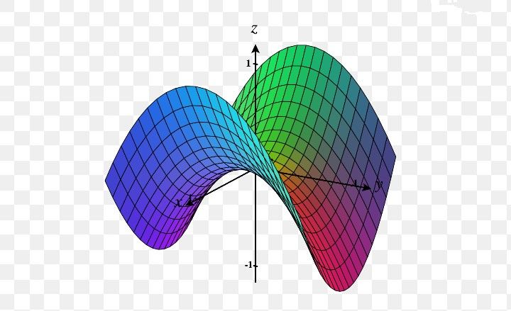 Hyperbolic geometry 2 3 6 images of saddle~like & Saddle~shape