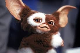 Gizmo the mogwai