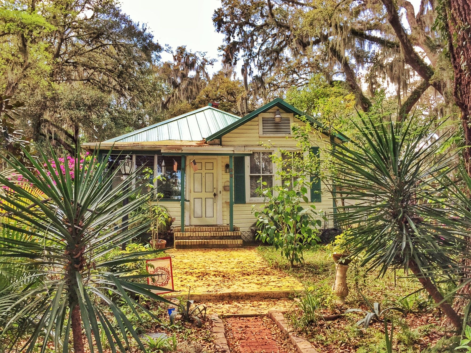 Cottage in a wooded area with palm trees and surrounded by gardens