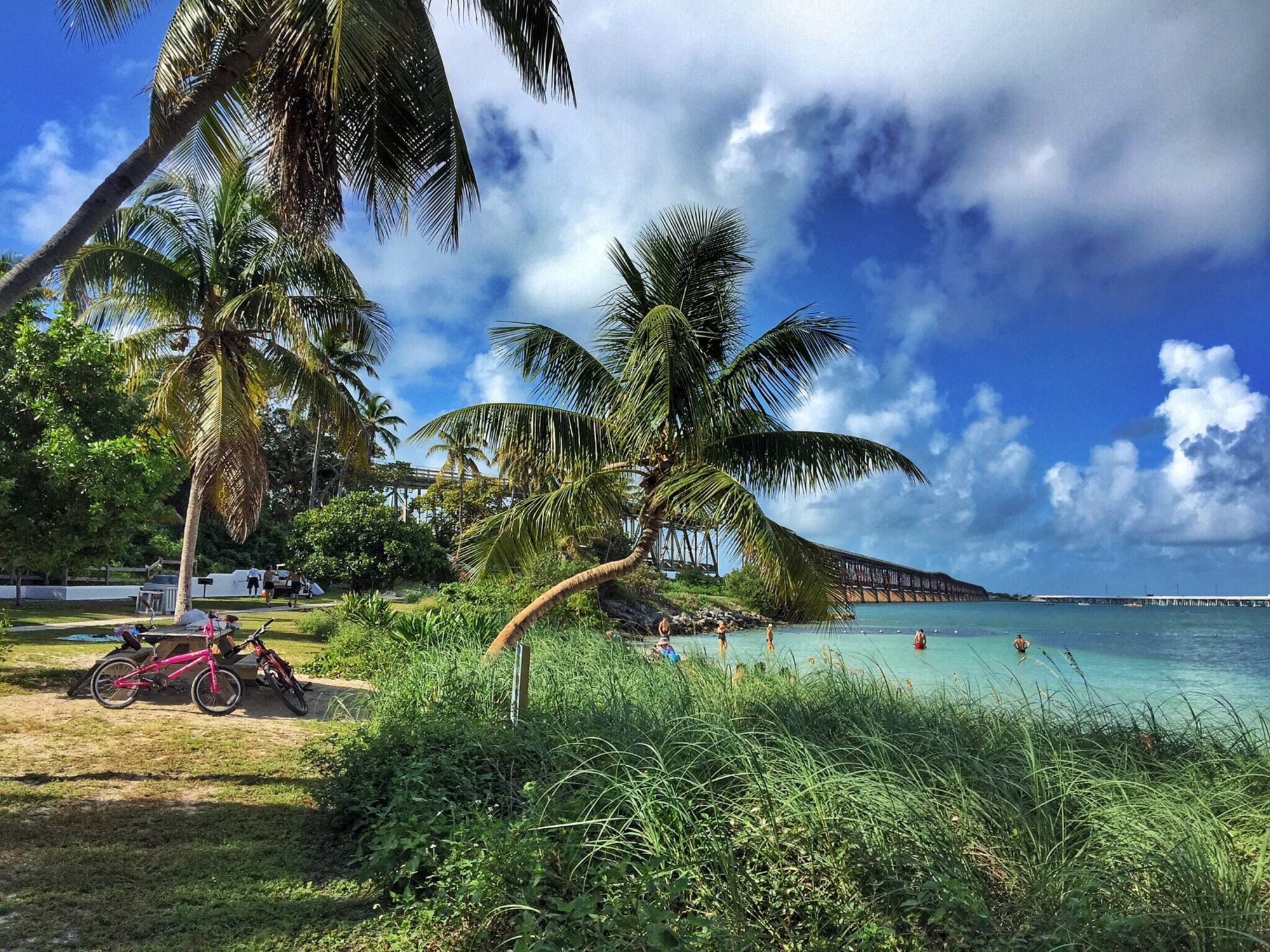 A lovely water scene in the Florida Keys with a bridge in the distance, a bicycle and sunbathers in a painterly impasto style