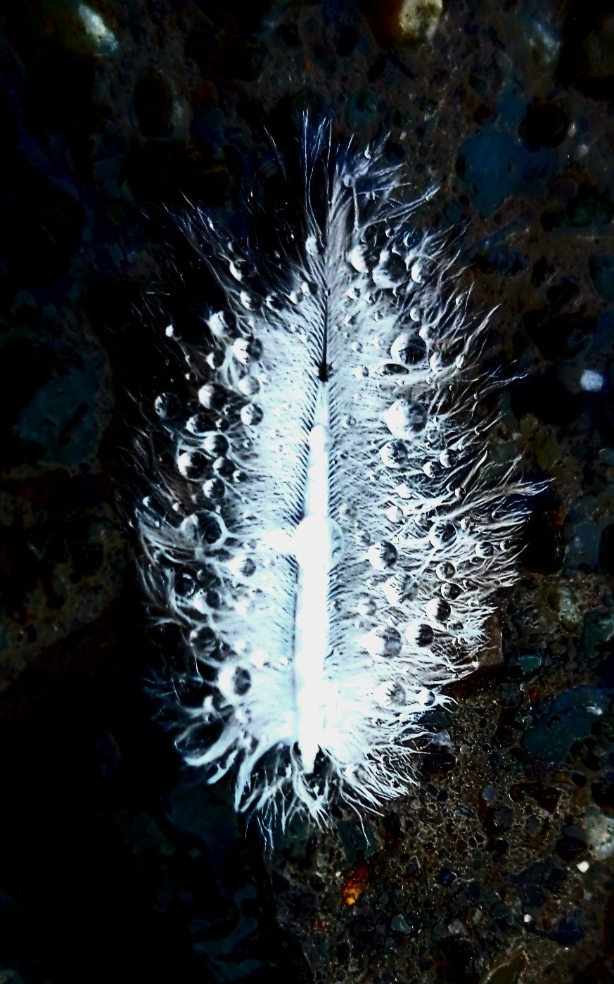 <lora:-Omnious-:1.0> Night sky, stars, spilt apart, cosmic Zdzisław Beksiński orange and teal