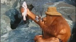 Ihatecreatingusername