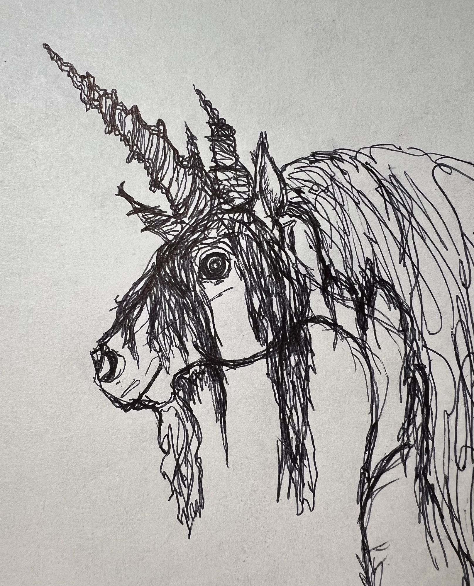 Unicorn from scetch