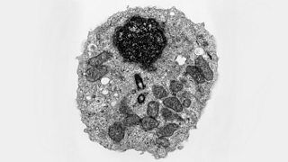 Totallyrandompictures