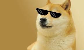 MrMcDoge