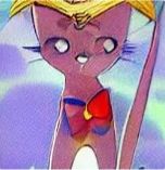 Sailorcat