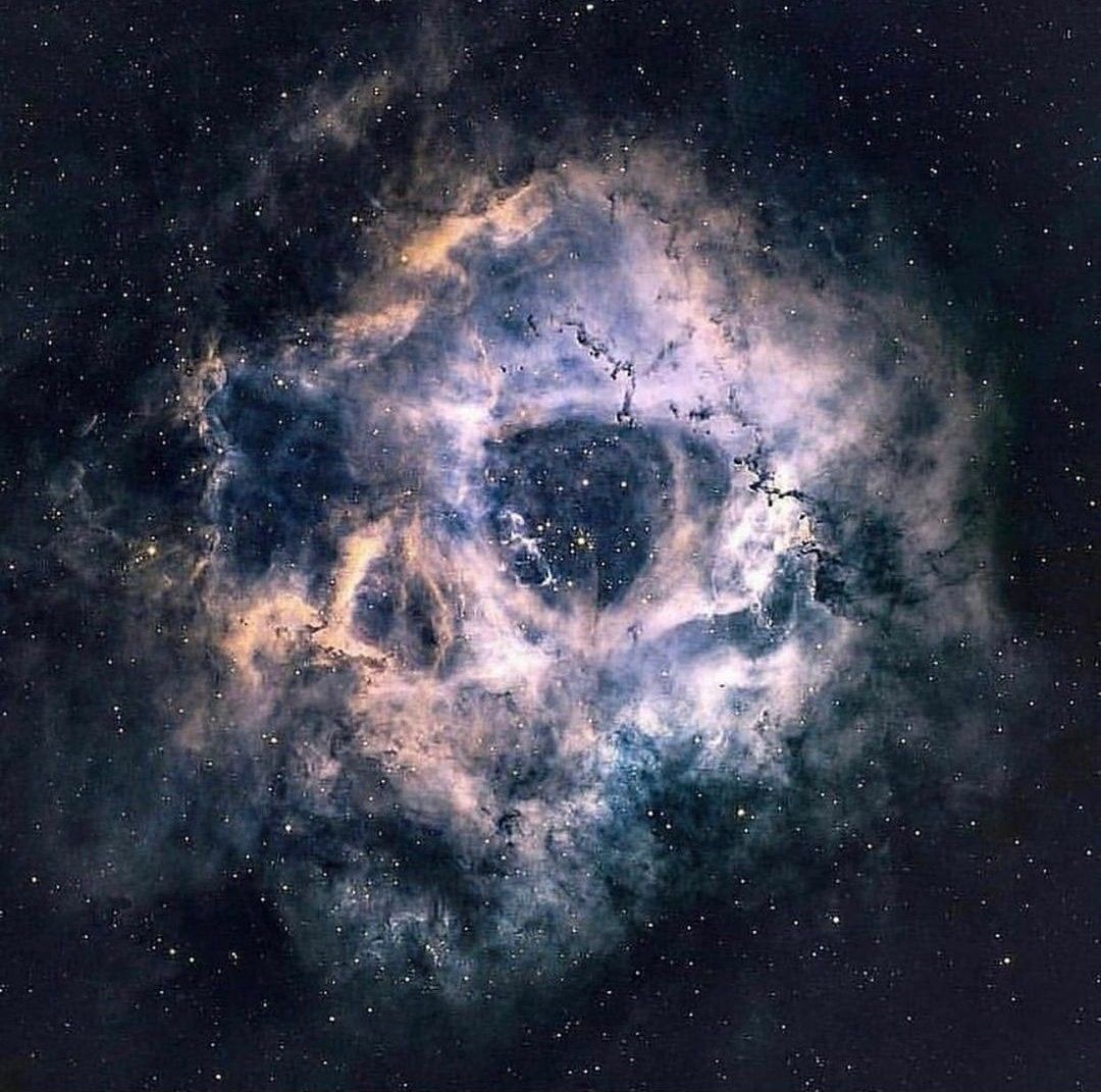 Cosmic Skull